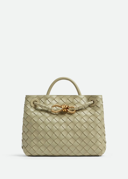 Bottega Veneta Small Andiamo Chain Bag