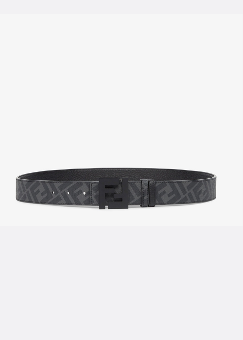 FF Reversible Belt