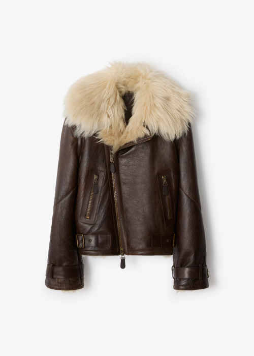 Cropped Shearling Aviator Jacket in Dark brown 