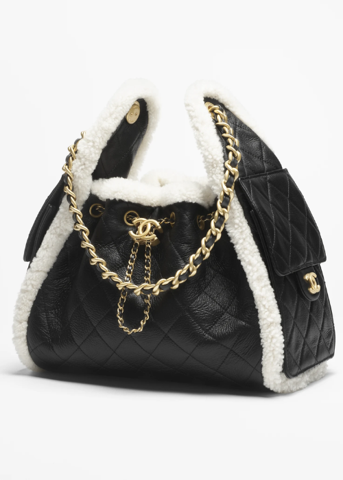 CHANEL 25 Small Handbag