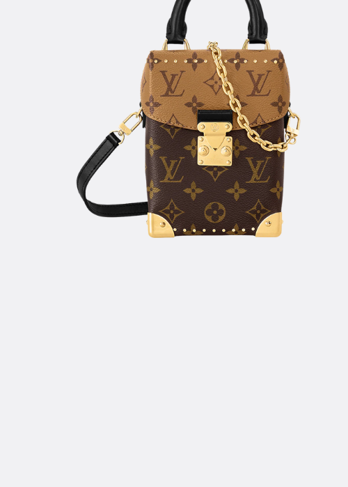 Camera Box Other Monogram Canvas - Handbags | Louis Vuitton 