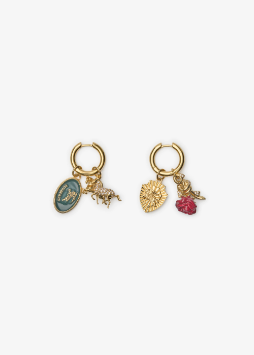Charm Hoop Earrings? in Gold/multicolou