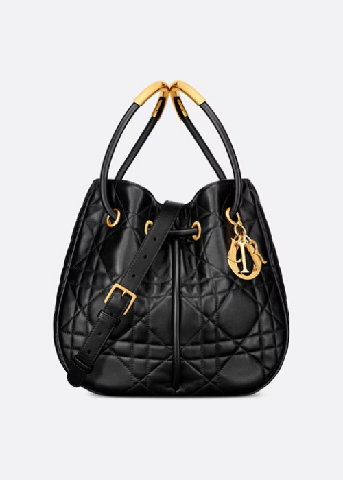 Dior Medium Dior Nolita Bag 